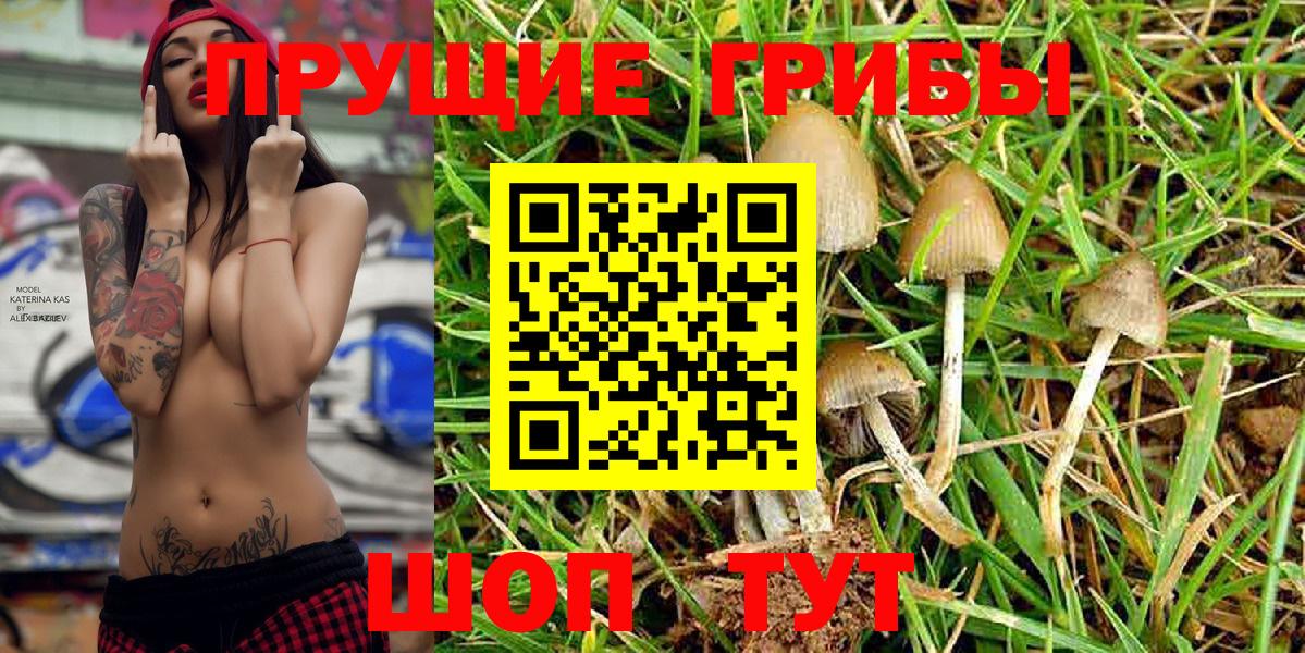 Псилоцибиновые грибы Magic Shrooms Красноуфимск